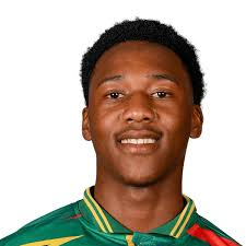 Nqobani Mokoena