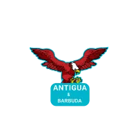 Antigua & Barbuda Falcons Cricket Team Flag - Live Scores & Updates
