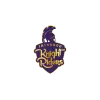 Abu Dhabi Knight Riders Cricket Team Flag - Live Scores & Updates