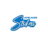 Adelaide Strikers Cricket Team Flag - Live Scores & Updates