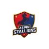 Aspin Stallions flag