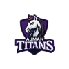 Ajman Titans Cricket Team Flag - Live Scores & Updates