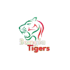 Bangla Tigers Cricket Team Flag - Live Scores & Updates