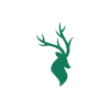 Central Stags Cricket Team Flag - Live Scores & Updates