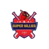 Chepauk Super Gillies Cricket Team Flag - Live Scores & Updates