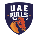 UAE Bulls flag