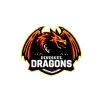 Dindigul Dragons Cricket Team Flag - Live Scores & Updates