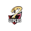 Desert Vipers Cricket Team Flag - Live Scores & Updates