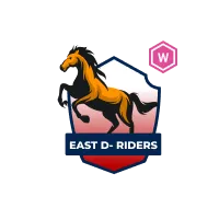 East Delhi Riders Women Cricket Team Flag - Live Scores & Updates