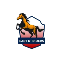 East Delhi Riders Cricket Team Flag - Live Scores & Updates