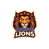 Gorakhpur Lions Cricket Team Flag - Live Scores & Updates