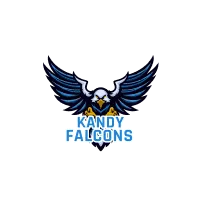 Kandy Falcons Cricket Team Flag - Live Scores & Updates