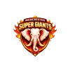 Manchesters Super Giants Cricket Team Flag - Live Scores & Updates