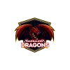 Mangalore Dragons Cricket Team Flag - Live Scores & Updates