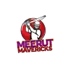 Meerut Mavericks Cricket Team Flag - Live Scores & Updates