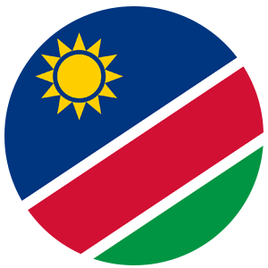 Namibia Cricket Team Flag - Live Scores & Updates