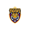 New Delhi Tigers Cricket Team Flag - Live Scores & Updates