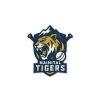 Nainital Tigers Cricket Team Flag - Live Scores & Updates