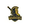 Outer Delhi Warriors Cricket Team Flag - Live Scores & Updates