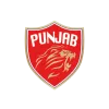 Punjab Kings Cricket Team Flag - Live Scores & Updates