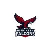 Rishikesh Falcons Cricket Team Flag - Live Scores & Updates