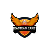 Sunrisers Eastern Cape Cricket Team Flag - Live Scores & Updates