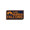 SoBo Mumbai Falcons Cricket Team Flag - Live Scores & Updates