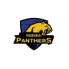 Siechem Madurai Panthers Cricket Team Flag - Live Scores & Updates