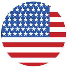 United States Cricket Team Flag - Live Scores & Updates