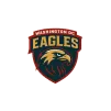 Washington DC Eagles Cricket Team Flag - Live Scores & Updates