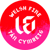 Welsh Fire Cricket Team Flag - Live Scores & Updates