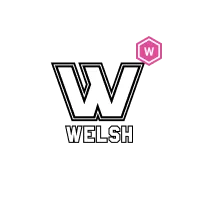 Welsh Fire Women Cricket Team Flag - Live Scores & Updates