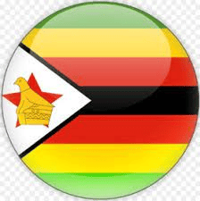 Zimbabwe Cricket Team Flag - Live Scores & Updates